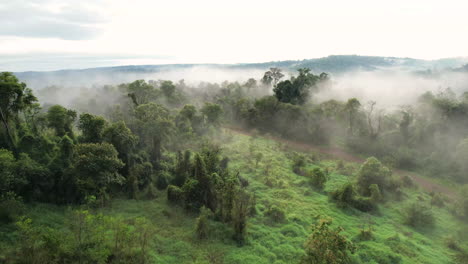 Nubes-Grises-Blancas-Y-Brumosas-Se-Sientan-Bajas,-Selva-Tropical