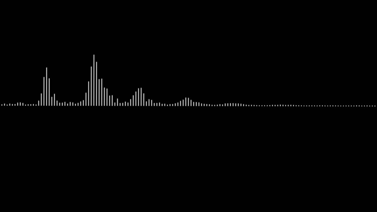 White Audio Waveform Visualizer on Black Background
