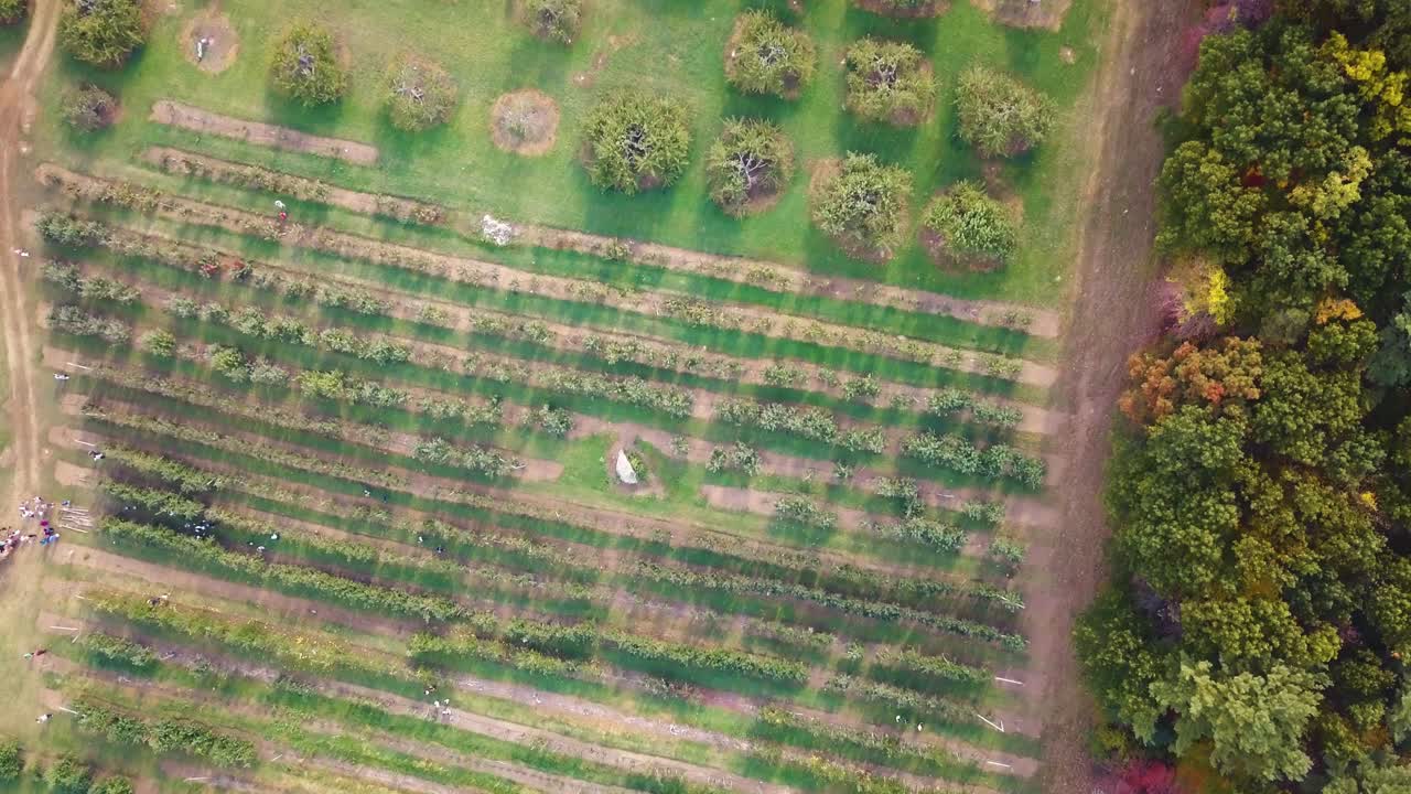 Top view of Apple Picking Farm in Peabody, Essex County, Massachusetts, United States