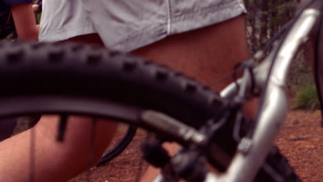 pareja en bicicleta a través de un bosque