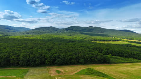 Lush green hills under a bright sky. Expansive view of rolling green hills and dense forests on a sunny day with fluffy clouds in the blue sky