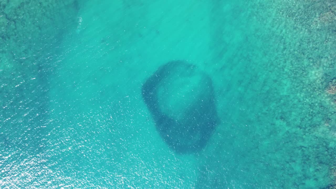 공중에서 위아래로 회전하는 드론 비디오 큰 그룹의 물고기가 같은 방향으로 헤엄쳐서 원 패턴을 만 ⁇ 니다.