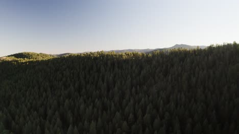 Drohnenaufnahme,-Die-Die-Goldenen-Farbtöne-Eines-Sonnenuntergangs-In-Colorado-Einfängt-Und-Einen-Warmen,-ätherischen-Glanz-über-Eine-Weite-Fläche-Mit-Kiefern-Bewachsener-Berge-Wirft