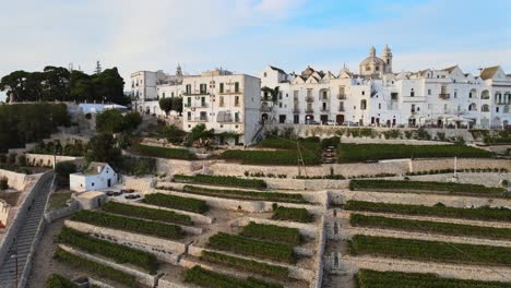 vista aérea de las casas de la aldea de locorotondo y la terraza del viñedo, ciudad tradicional italiana en la cima de una colina, al atardecer
