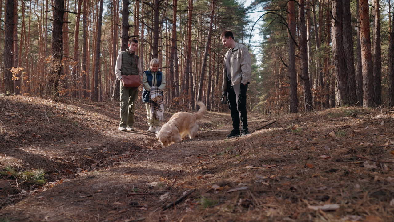 una caminata familiar en el bosque con un perro