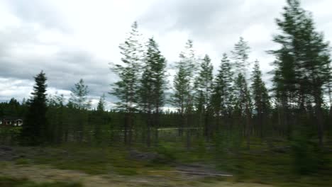 Skandinavische-Waldwildnis-Erschossen,-Fahren-In-Schwedischer-Landschaft