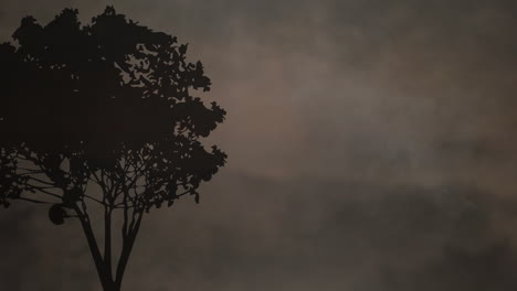animatie van rook over boom silhouet op grijze achtergrond