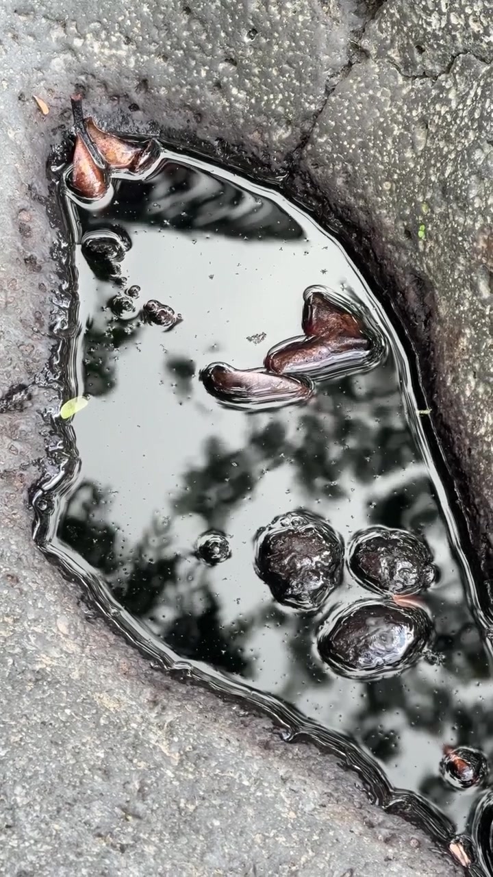 Raindrops Falling Into a Puddle on Asphalt