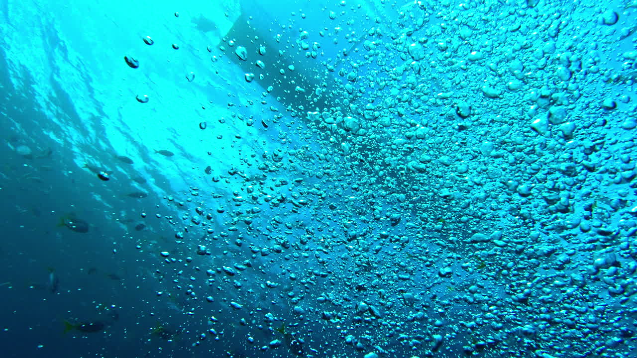 지구의 심장은 파란색입니다.