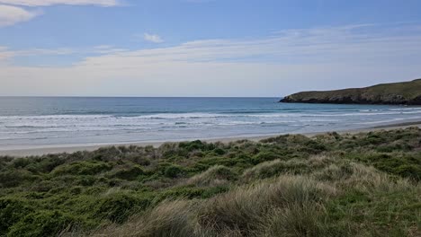 Geduldiges-Warten-Am-Pipikaretu-Strand-In-Neuseeland,-In-Erwartung-Des-Entzückenden-Anblicks-Der-Pinguine,-Die-Aus-Dem-Unberührten-Wasser-Auftauchen