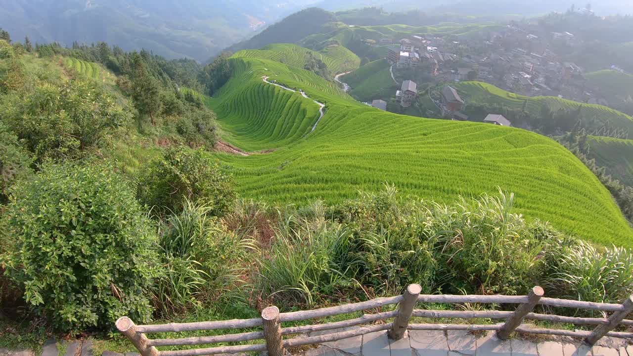 Bird eye view of the scenic Seven Stars Accompany the Moon cascading layered Rice Terraces, forming part of Longji Rice Terraces, Pingan village, northern Guilin, Guangxi Province, China
