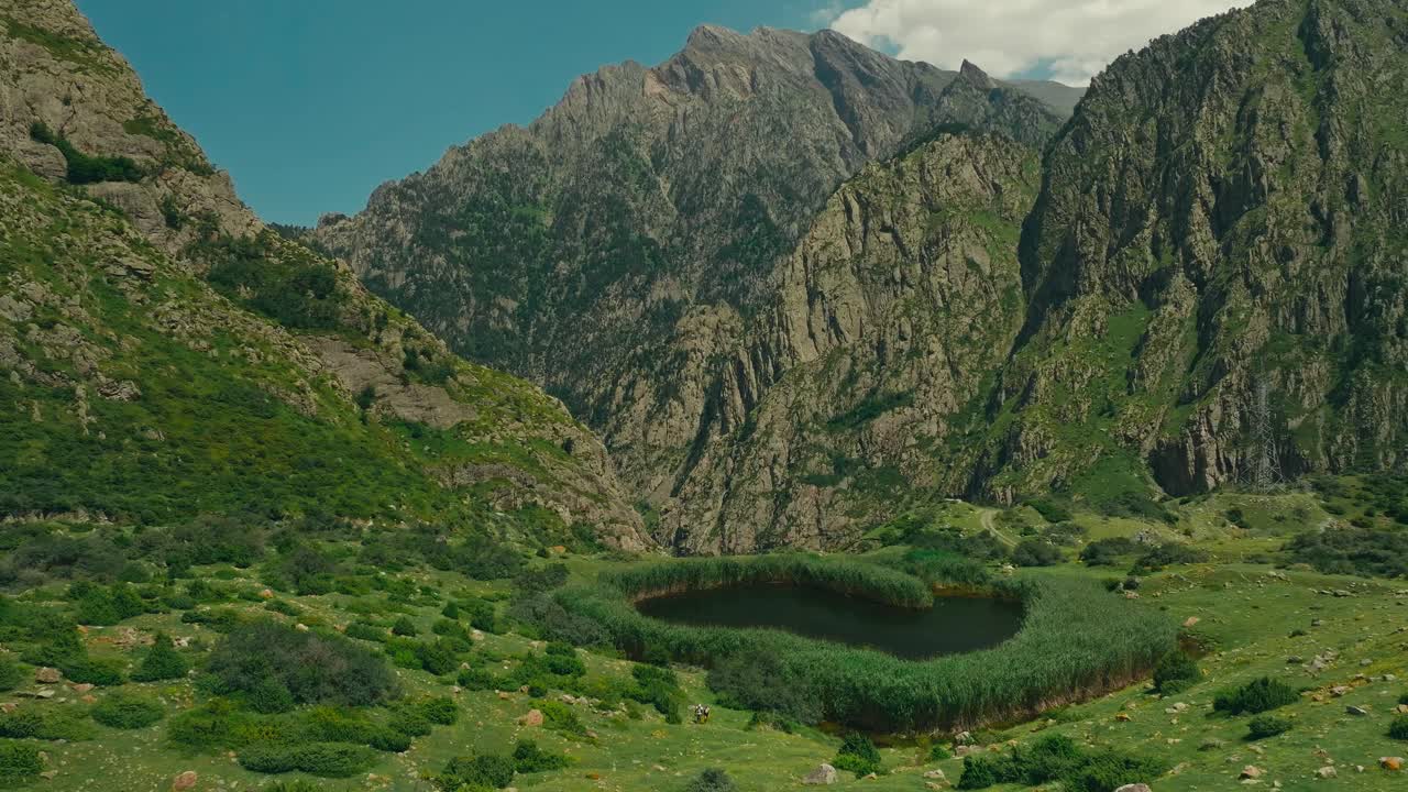 Scenic mountain and lush greenery landscape in Georgia, evokes tranquility