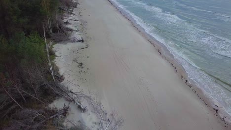 Beautiful-aerial-establishing-birdseye-view-of-Baltic-sea-coast-on-a-sunny-evening,-sunset,-golden-hour,-beach-with-white-sand,-coastal-erosion,-climate-changes,-wide-angle-drone-shot-moving-forward