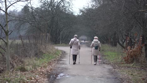 Menschen-Gehen-Im-Januar-Durch-Den-Düsteren-Park