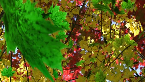 animación de varias hojas que caen sobre el bosque verde