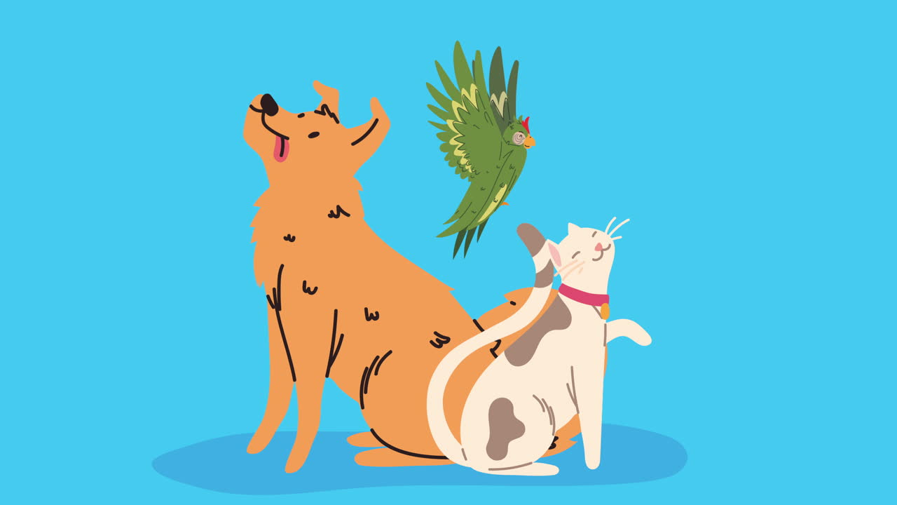 귀여운 국내 마스코트 캐릭터 애니메이션