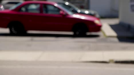 Perro-O-Cachorro-Asomándose-Por-La-Ventana-Del-Auto