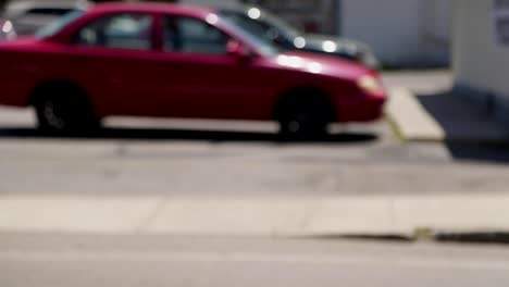 perro o cachorro asomándose por la ventana del auto