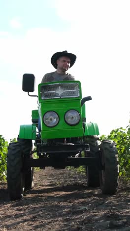 a man is driving a green tractor as he navigates through a scenic vineyard landscape a man is happily enjoying a sunny day while driving a vintage green tractor through a picturesque vineyard setting