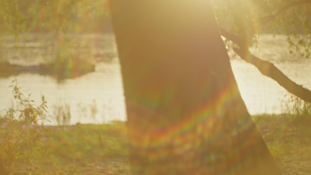 Sunset Riverbank Musician