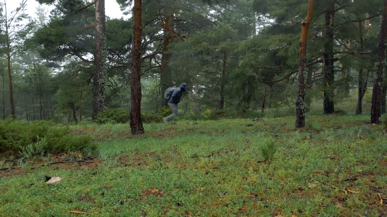 un hombre caminando hacia la derecha entre los árboles en un día de viento