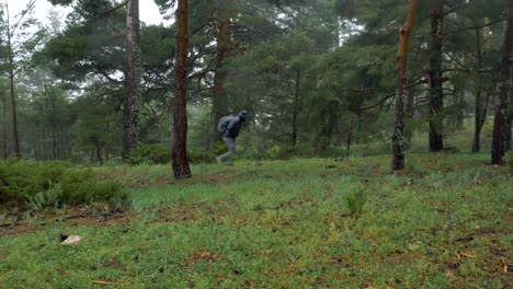 A-man-walking-towards-right-among-trees-in-a-windy-day