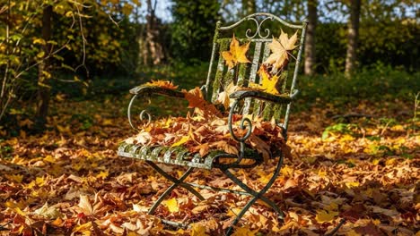 a serene autumn scene featuring an ornate vintage chair surrounded by vibrant fallen leaves, capturing the beauty of the seasonal change in the natural landscape