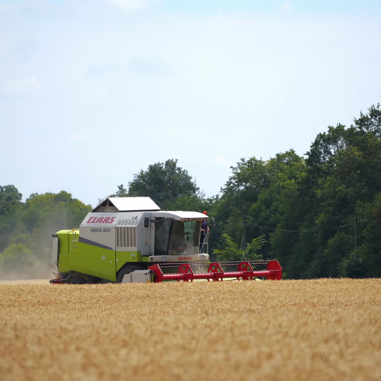 Farmer combining field of wheat