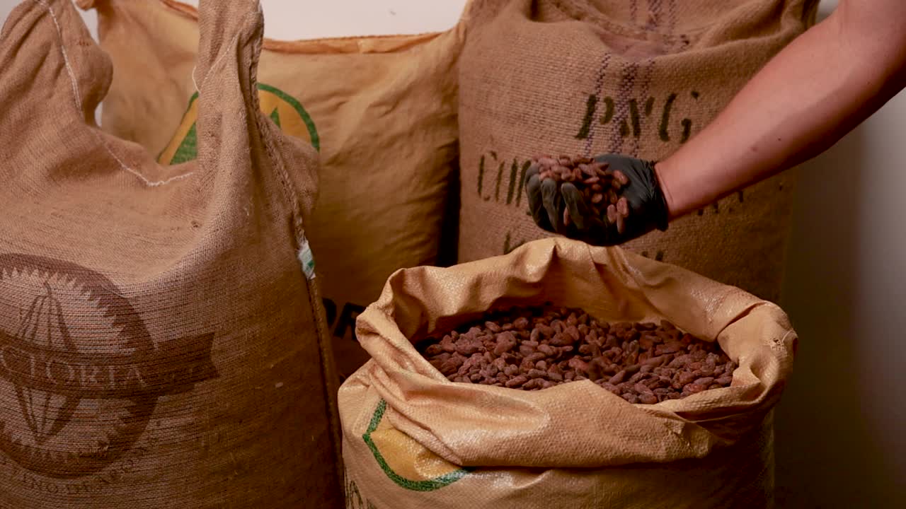 transformación de los granos de cacao