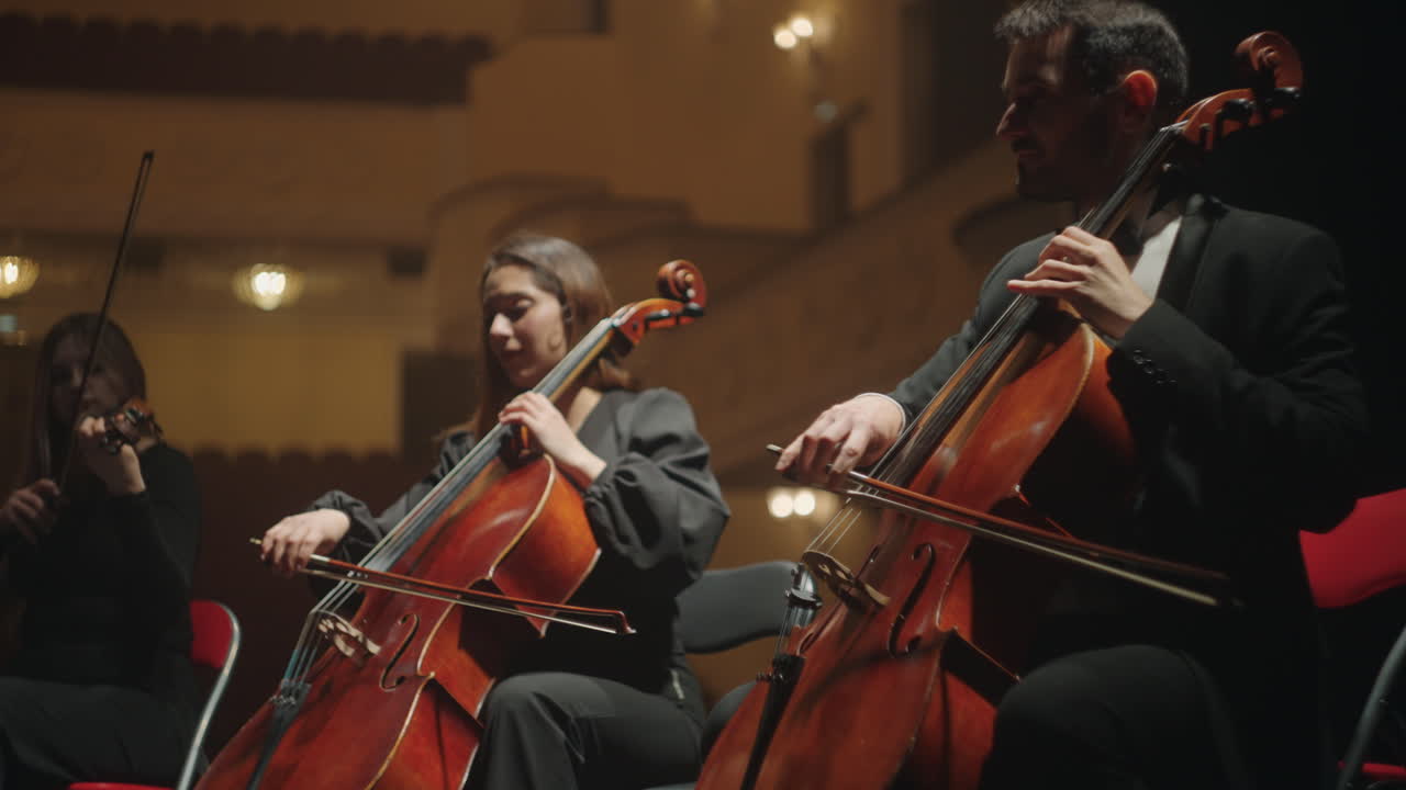 스트링 악기 음악 앙상블 클래식 음악 콘서트 또는 리허설 리스트 및 바이올리니스트