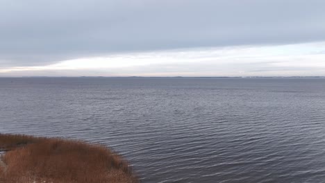 panoramic view of the curonian lagoon coast, swampy and overgrown with grass and reeds. baltic states lithuania.