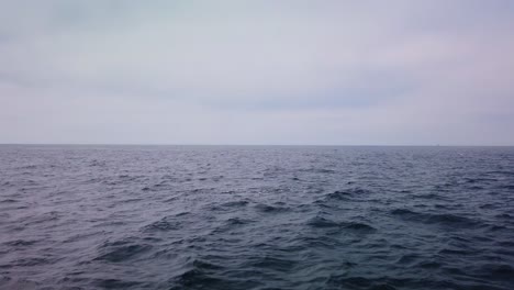 Gimbal-wide-shot-from-a-moving-boat-of-dolphins-breaching-and-leaping-out-of-the-water-in-the-open-ocean-off-the-coast-of-California