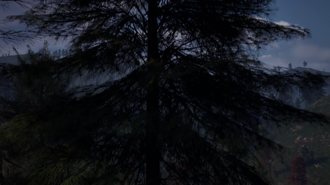 Pine forest with mist and mountains at the background, day time, 3D animation, animated scene, camera dolly up right
