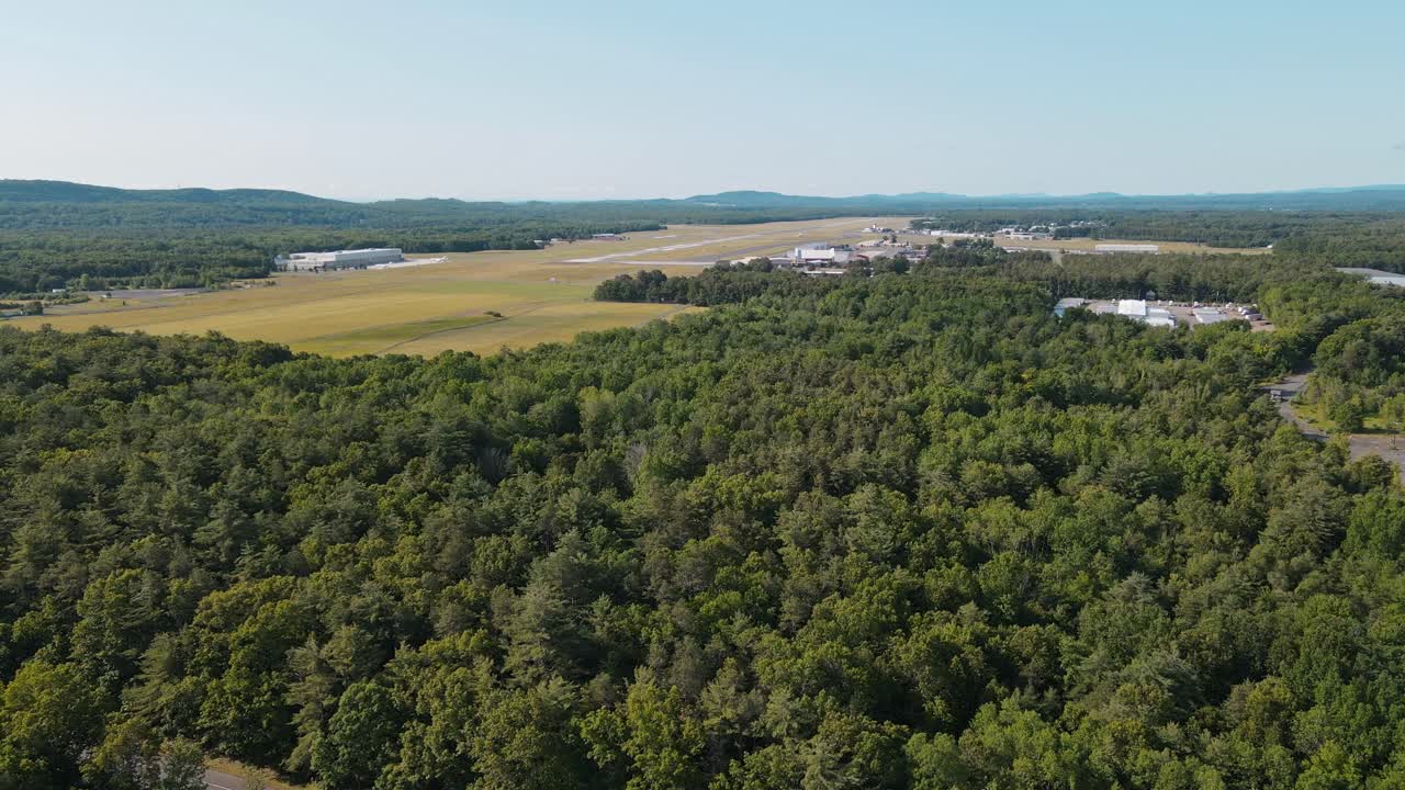 un disparo de un bosque verde tiene tierra en el fondo