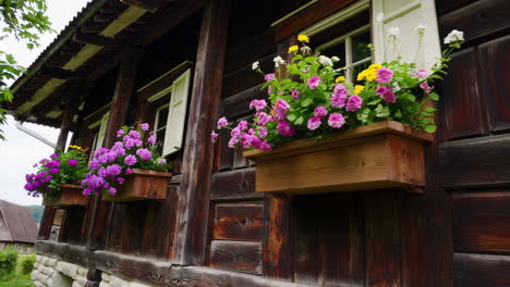 charming wooden house with flower boxes in a garden setting