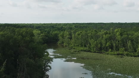 wetland habitat natural environment forest in lamar missouri, usa, aerial