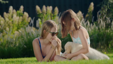 children play with a puppy in the backyard of the house. sitting on the green lawn