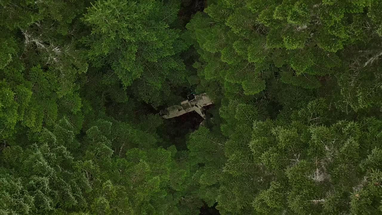 pequeño avión abandonado en un bosque en francia