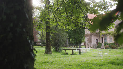 beautiful slow motion shot with term of a tree of an old horror house in a lonely village or estate in the cloudy afternoon