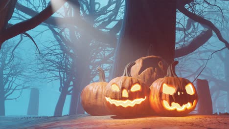 halloween holiday background with carved pumpkins in forest with moonlight