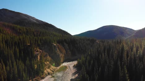 Incredible-aerial-view-of-cline-river-surrounded-by-an-amazing-pine-forest-in-Nordegg,-Alberta