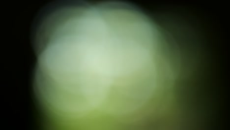 clips de bokeh
