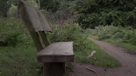 rustic wooden bench in countryside medium shot