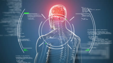 animación de escaneo de alcance sobre procesamiento de datos y modelo giratorio del cuerpo humano en fondo azul