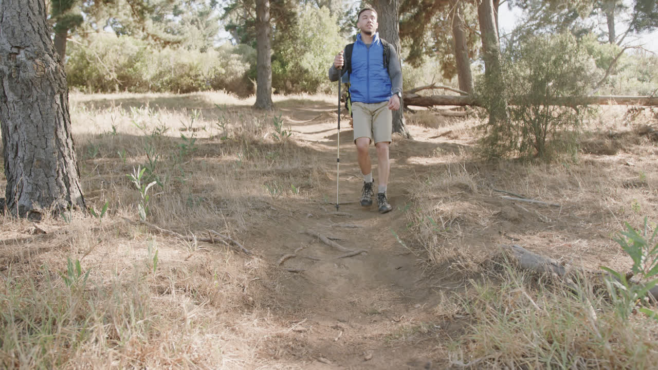 hombre afroamericano con mochila y caminando con caña de senderismo en el bosque, en cámara lenta