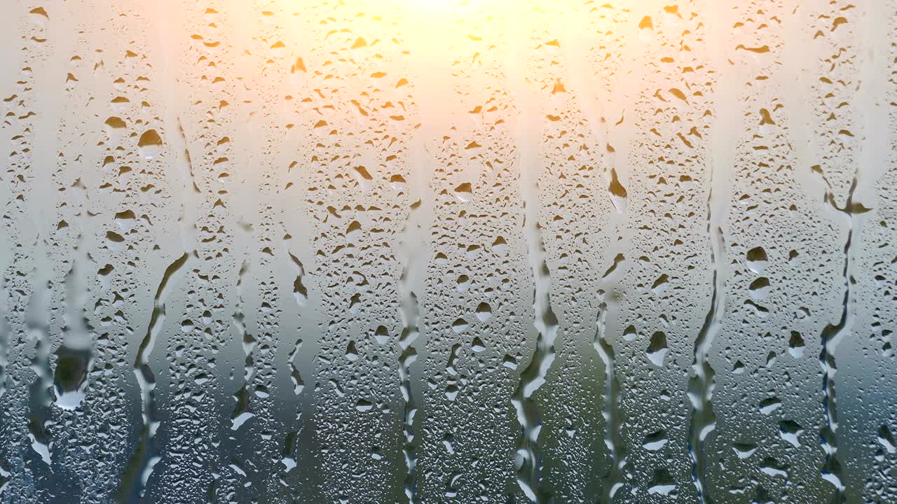 Rain Drops