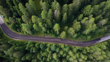 empty mountain road across a pine forest in the dolomite mountains northern italy, aerial drone top view pan left reveal shot