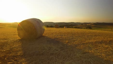 bale of hay during sunset. aerial view of countryside in a summer sunset in tuscany.
