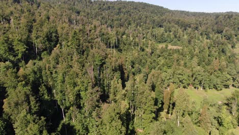 A-drone-shot-over-a-Castle-Snežnik-in-Slovenia