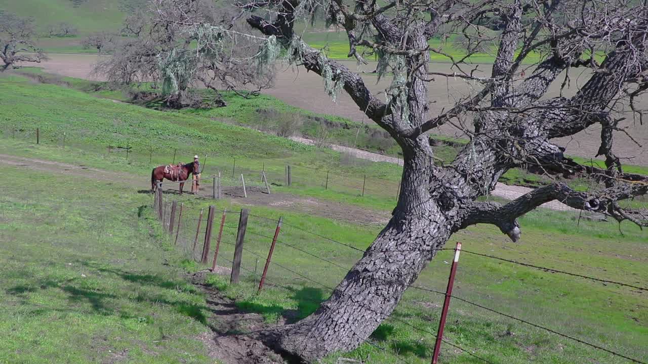 Il cowboy solitario smonta da cavallo per aprire un cancello di filo e far passare il bestiame